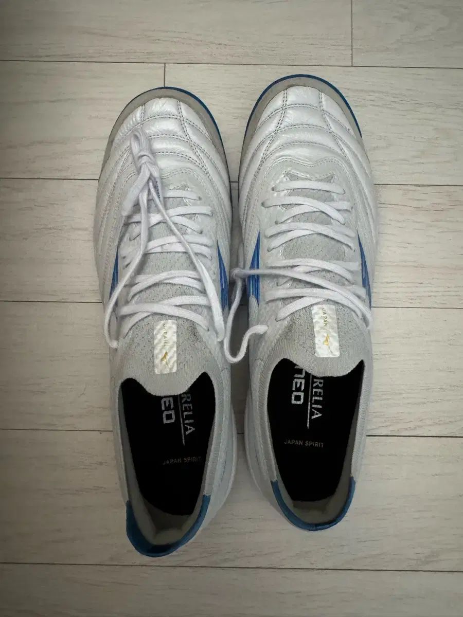 mizuno(ミズノ) モレリア サラ ベータ 270