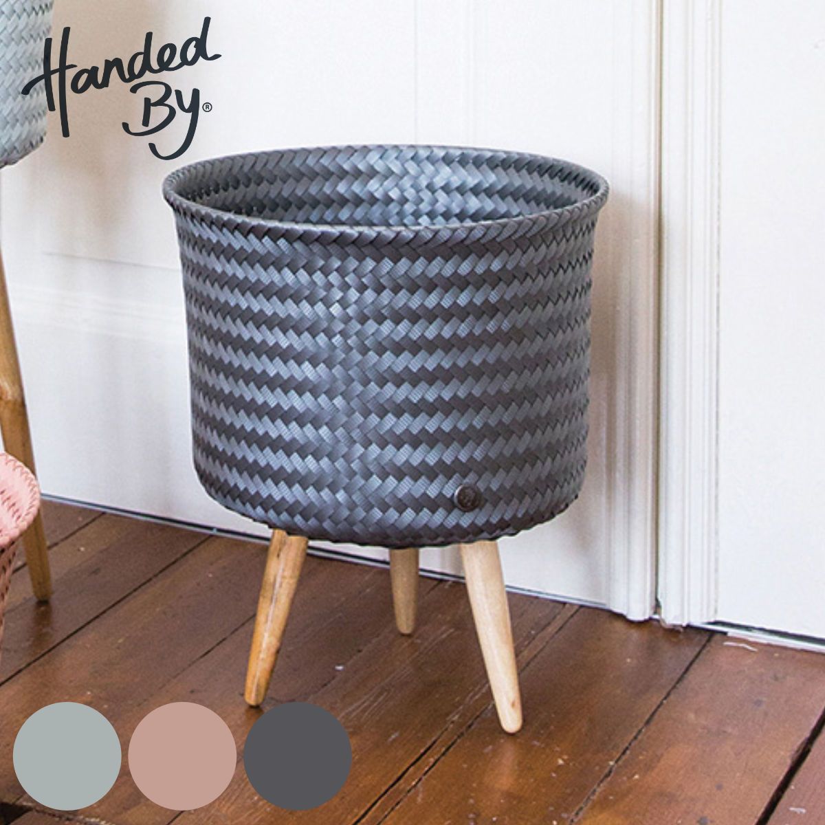 P Anapat#1×PSevenmoon×PCelsotatuta spore 観葉植物 バスケット