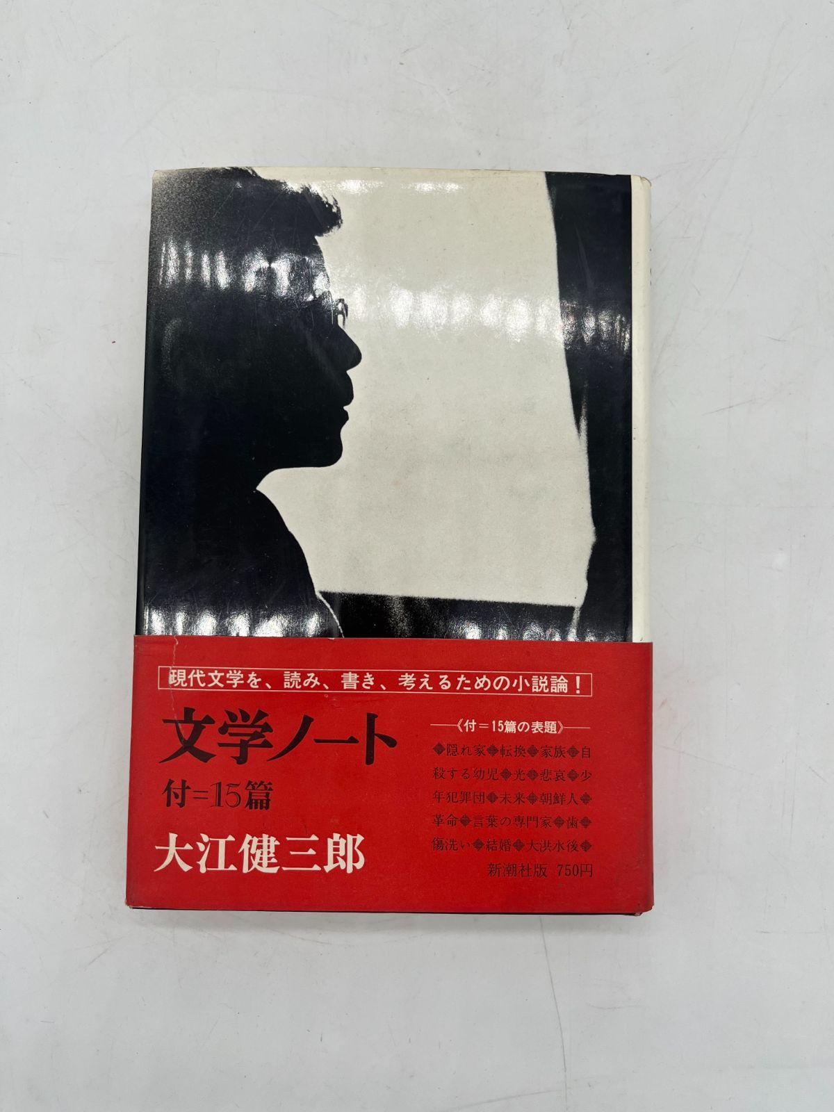 大江健三郎全小説 全15巻 大江健三郎全小説 第15巻 大江健三郎