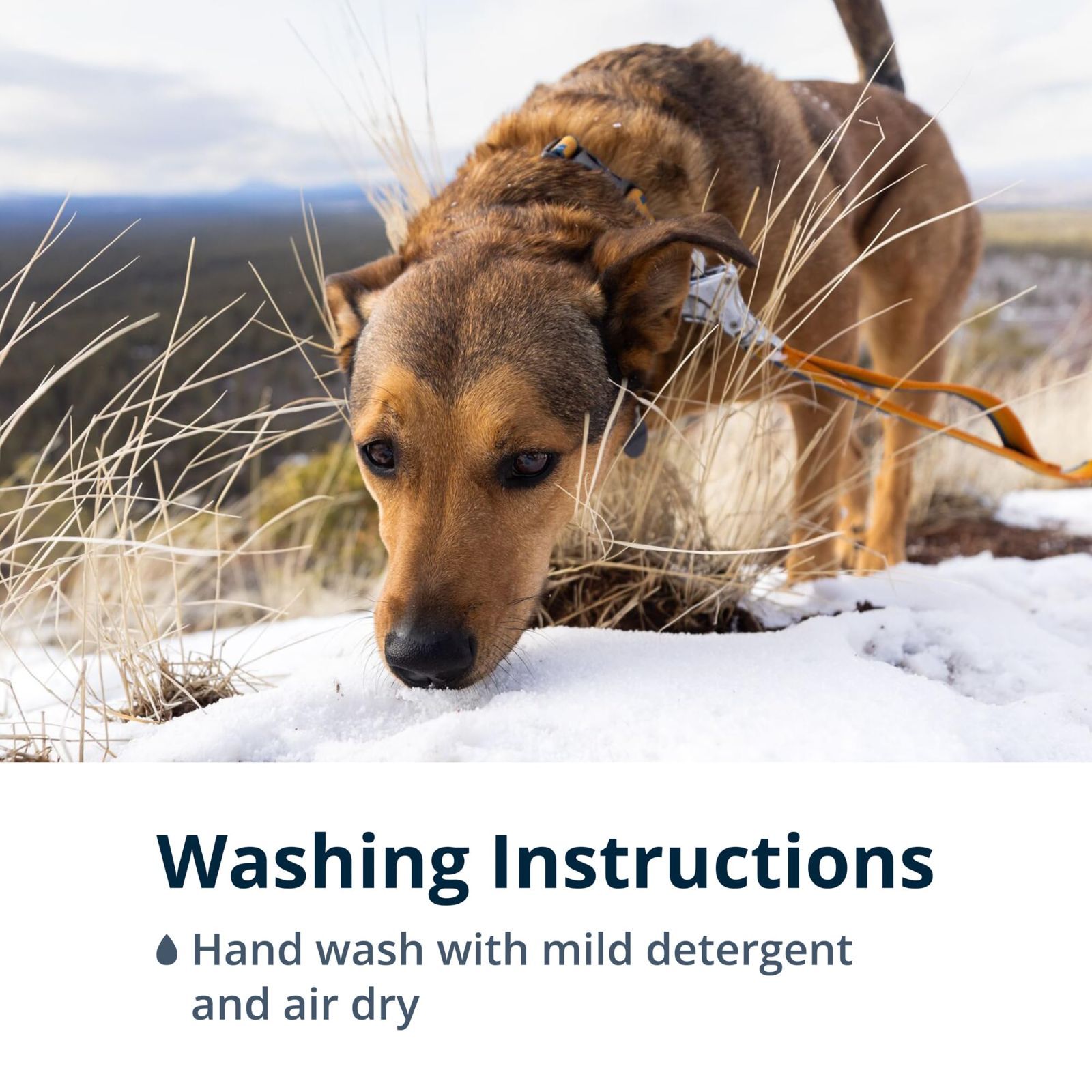 ローマーリーシュ