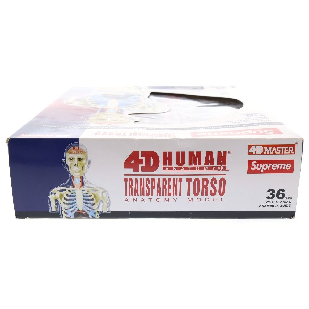 SUPREME (シュプリーム) 18AW ×4D MASTER Female Anatomy Model Figure