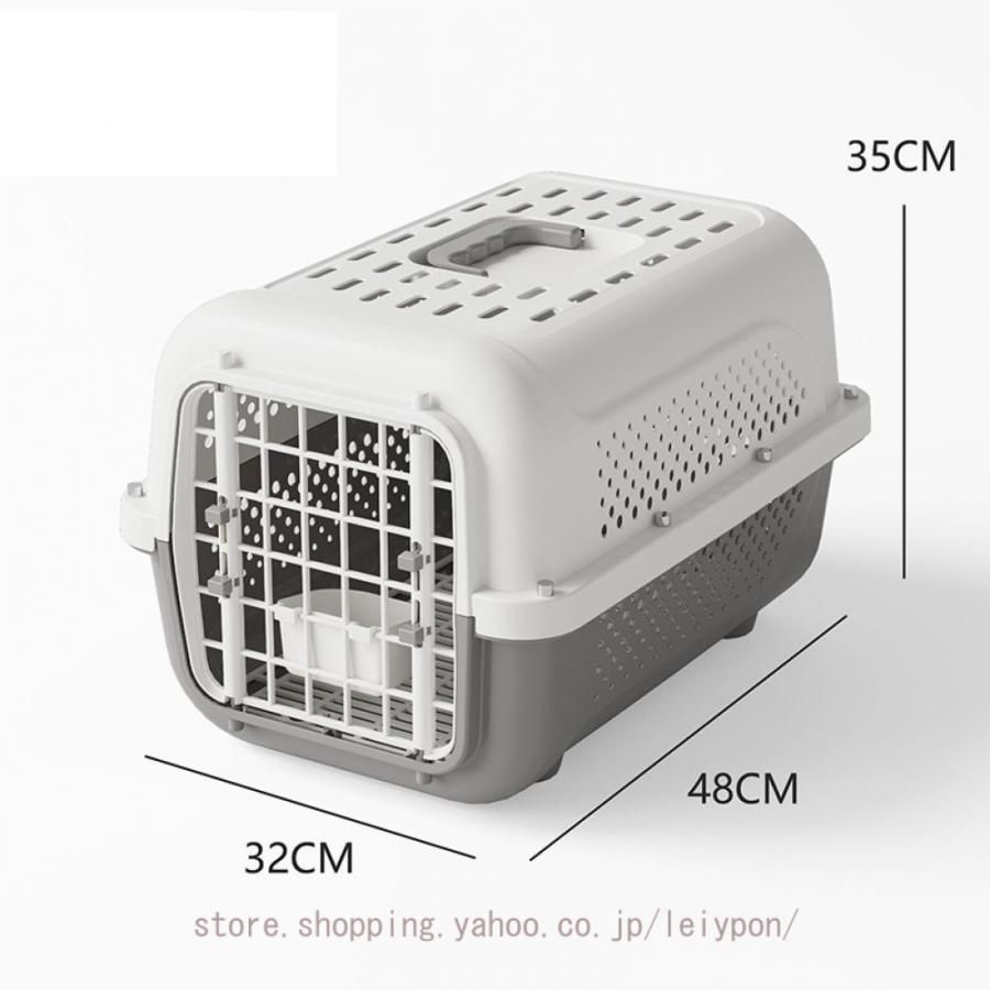 小型犬