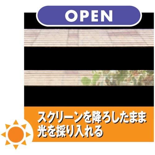 チェーン式 30003329