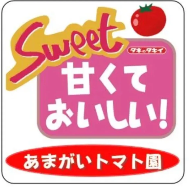 朝どりフルティカ🍅！2キロBOX！農家👩‍🌾より直送❣️常温配送❣️🚚メルカリ便80サイズ！フルーツトマト！