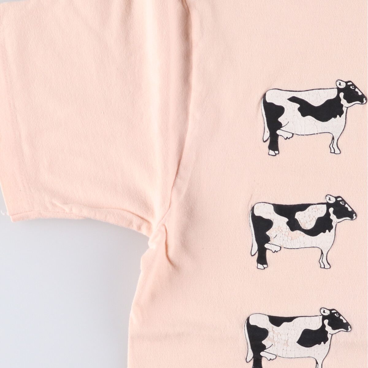 古着 80年代 ヘインズ Hanes BEEFY-T 青タグ 牛柄 アニマルTシャツ USA 
