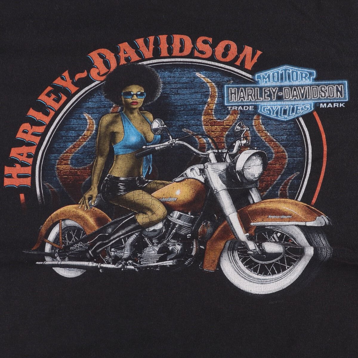 ハーレーダビッドソン Harley-Davidson Tシャツ ピンナップガール 入手