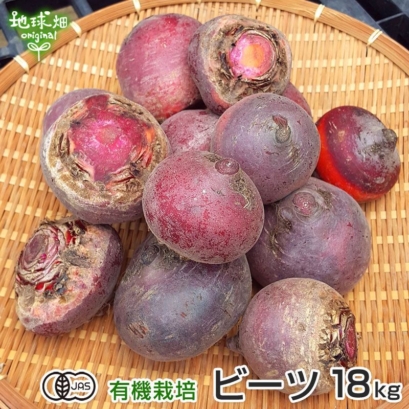 有機ビーツ 18kg 冷蔵便 鹿児島県産 宮崎県産 洗い 1個100～350g 化学肥料 農薬不使用 有機JAS 有機栽培