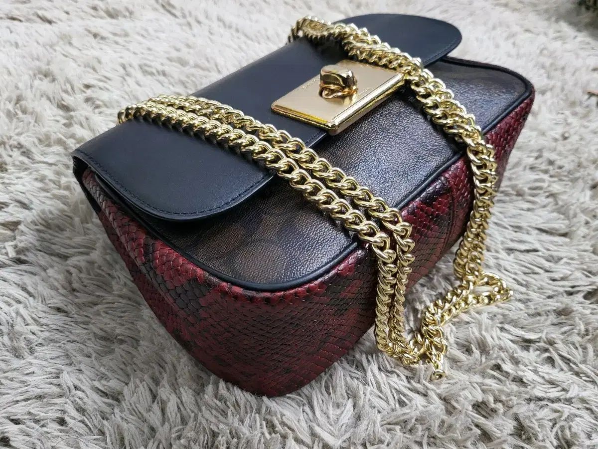 COACH コーチ 蛇 クロスバッグ f48620