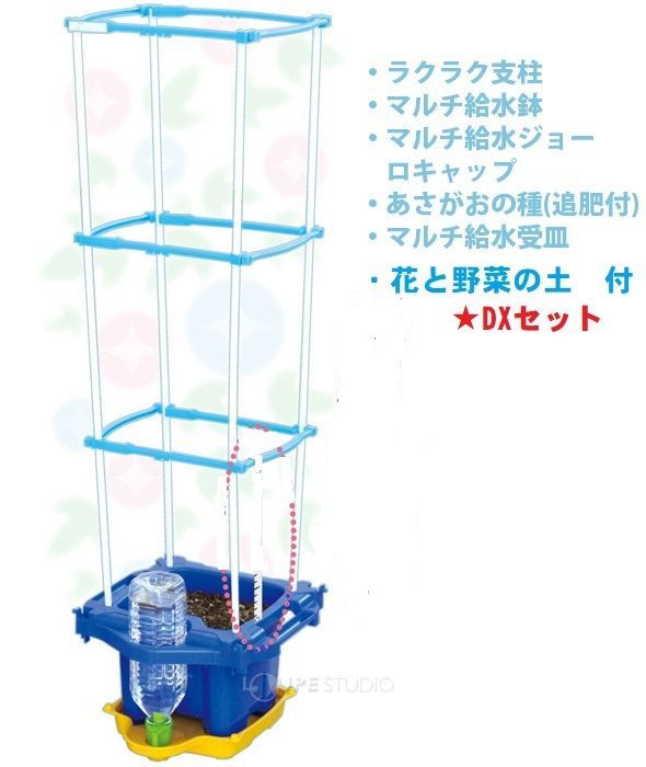 マルチ ラクラク給水朝顔/あさがお 支柱付DXセット - メルカリ
