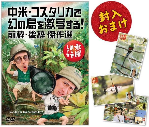 水曜どうでしょう DVD21巻セット　おまけあり 水曜どうでしょう DVD21巻セット おまけあり - メルカリ