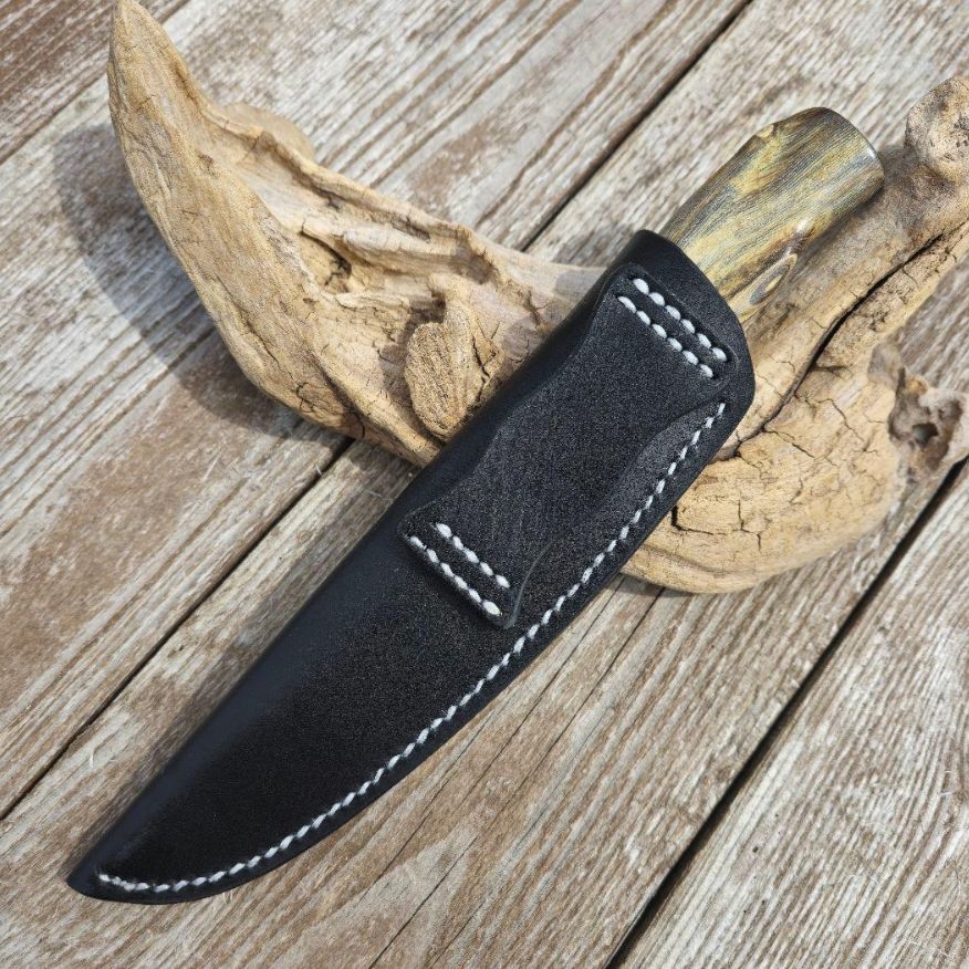 虹彩珊瑚のマキリ ペルシアンターコイズ OLIVEOS_COM_TR