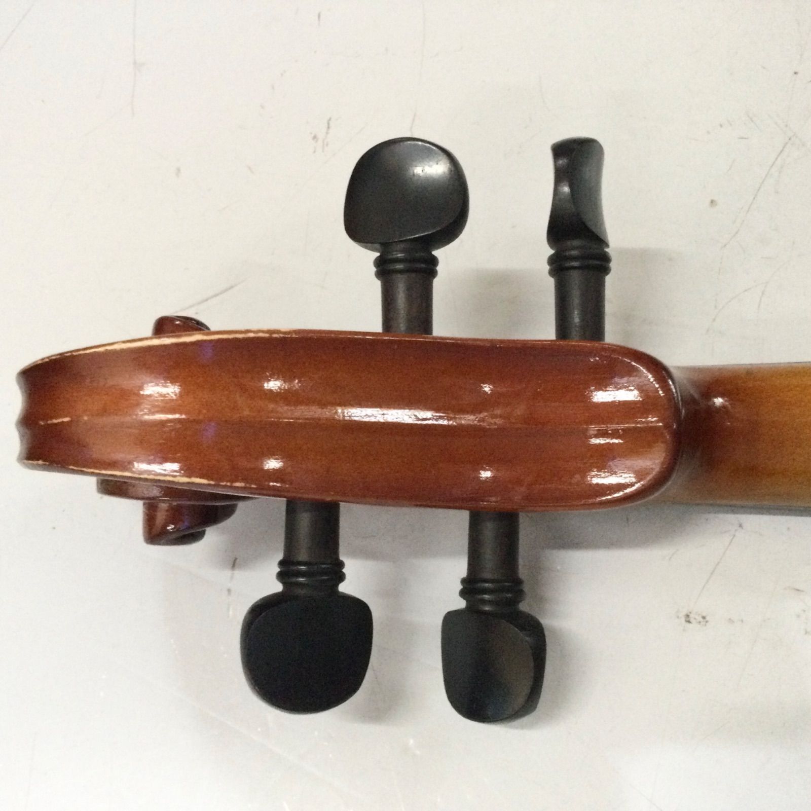 Carlo giordano カルロ ジョルダーノ バイオリン VS-1 1/4 anno 2017