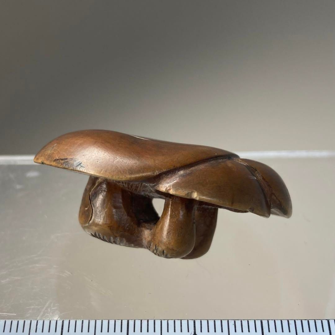 上江戸時代 シイタケ根付 9g 本Y6-0222