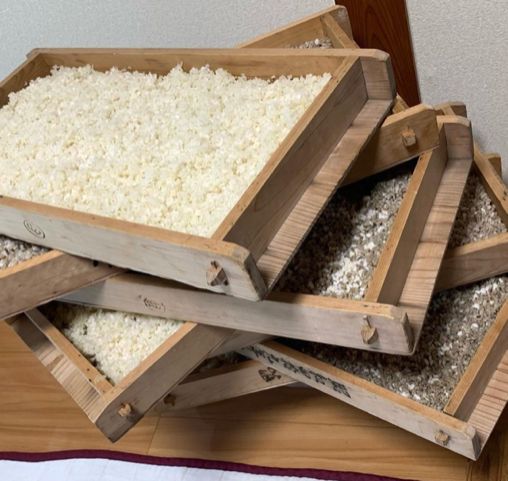 りぐる味噌 手作り