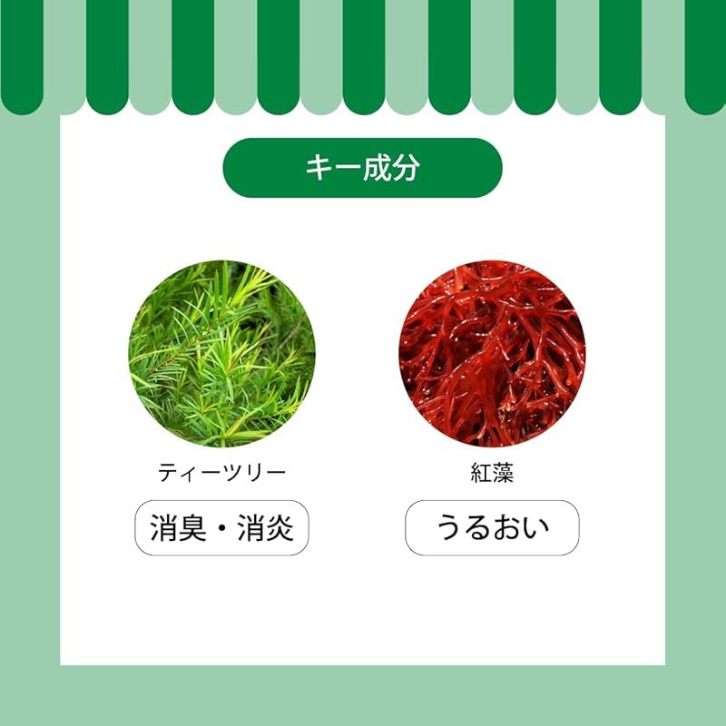 A.P.D.C. ティーツリーシャンプー5L STEELWINDOWSANDDOORS_COM