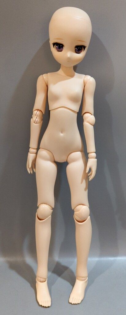 アゾン Iris Collect petit すずね Noraneko drops 通常販売ver.