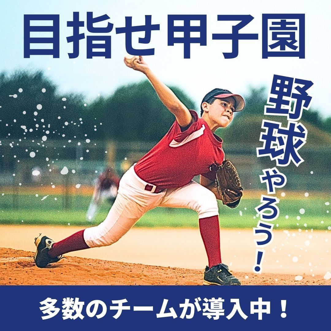 軟式 硬式