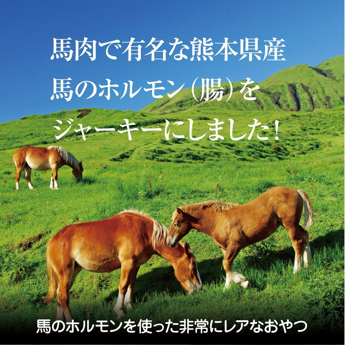 国産馬のパリパリジャーキー 細切り30g 犬 おやつ 犬用 馬肉ジャーキー 無添加 国産 馬肉 ジャーキー ドッグフード ペット 犬のおやつ 小型犬 高齢犬 老犬 シニア 送料無料