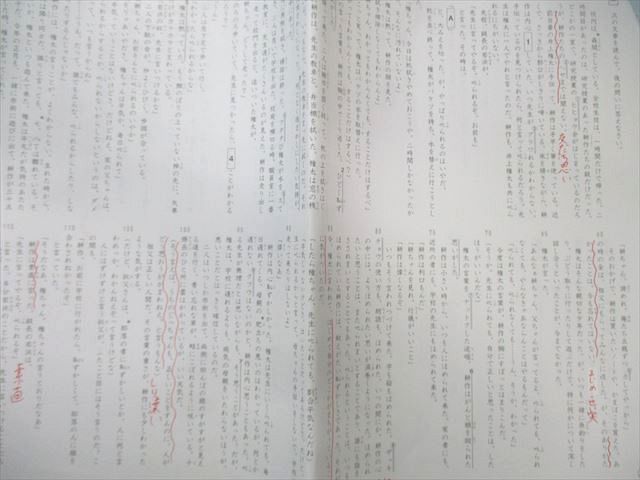 SAPIX 小6 サピックス 国語 GS特訓 【計6回分】 2020 024S2D SAPIX 小6 サピックス GS特訓 国語 【計6回分】 2024 020m2Dの
