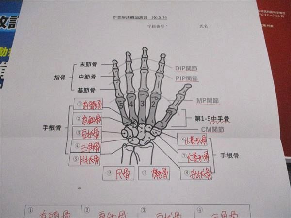 メジカルビュー 運動療法のための機能解剖学的触診技術 2022 計2