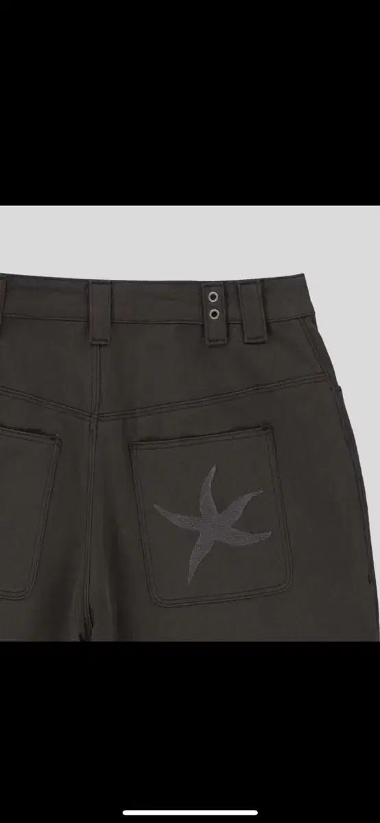 starfish chino