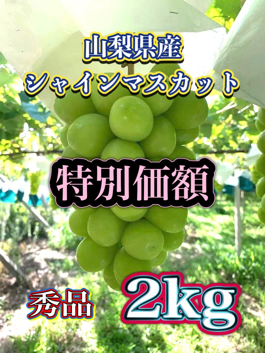 山梨県産 シャインマスカット2kg 秀品クール便贈り物贈答品