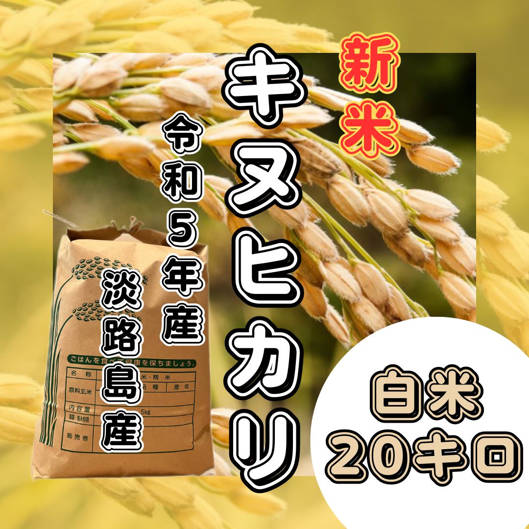 新米 令和5年産 キヌヒカリ  白米20キロ 淡路島産 産地直送