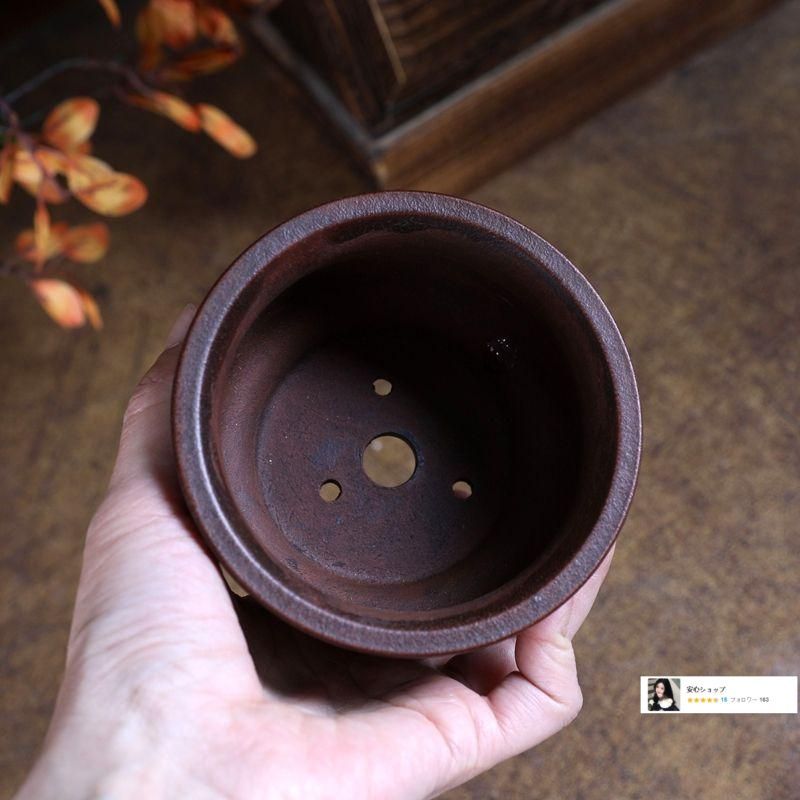 花脚小金鐘」多肉植物鉢 紫砂鉢 盆栽鉢植木鉢 小品盆栽鉢 大品