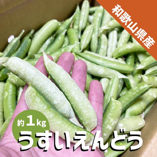 和歌山県産 うすいえんどう 約１kg Lサイズ 和歌山 特産 うすい豆 ウスイエンドウ 豆ごはん