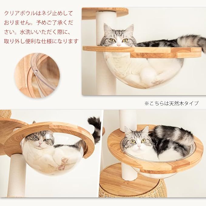 爪研ぎ