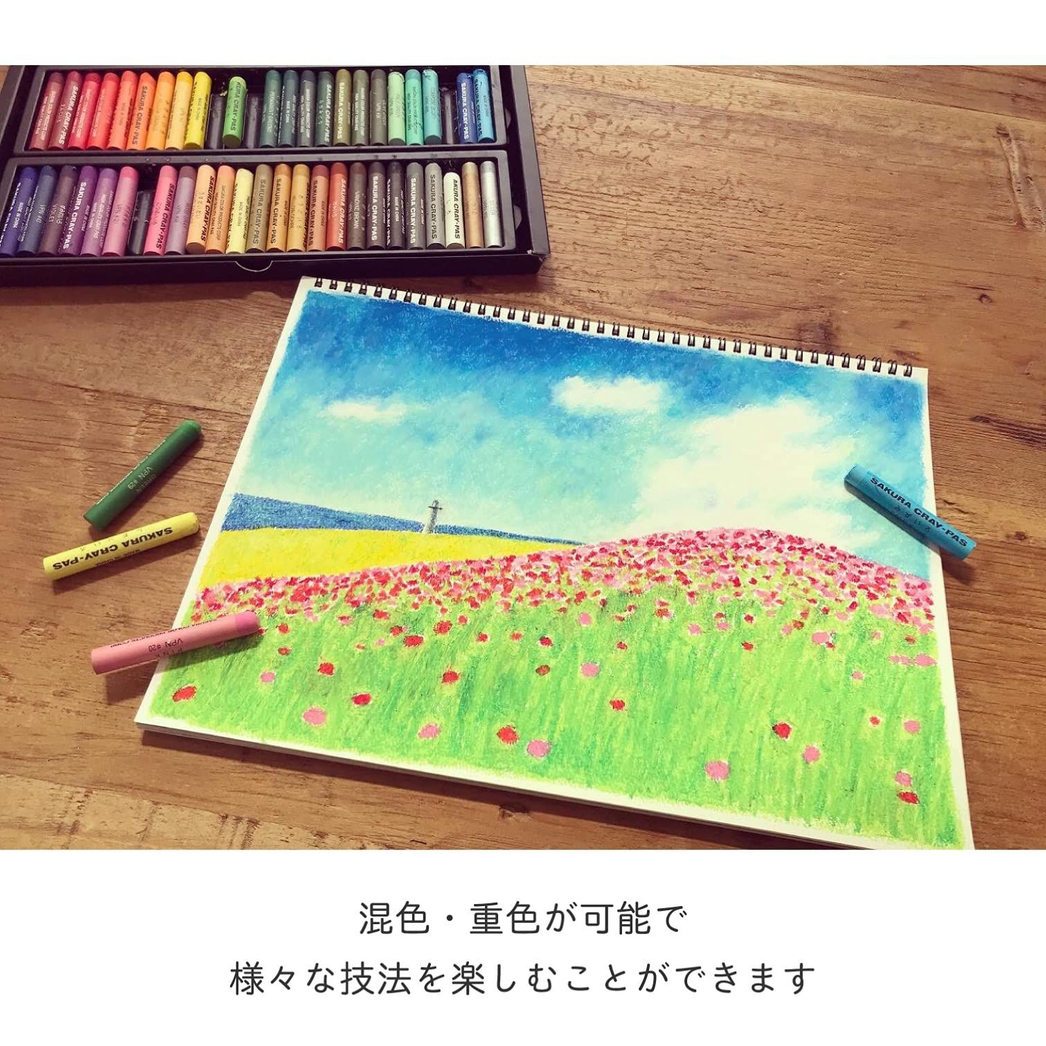 太巻50色セット VP50