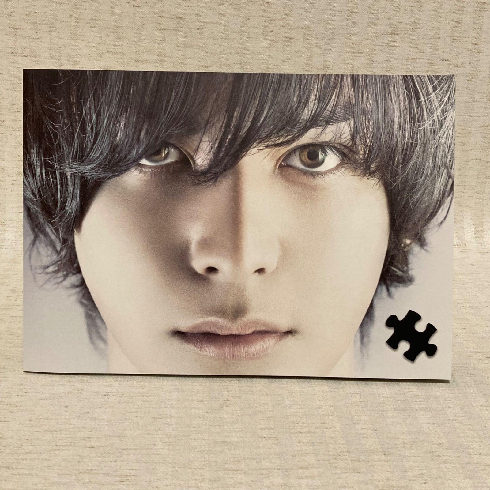 DVD・パンフレットセット】 脳男 生田斗真・松雪泰子・江口洋介 D-35