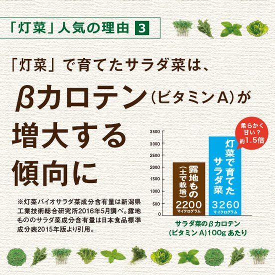 野菜栽培キット