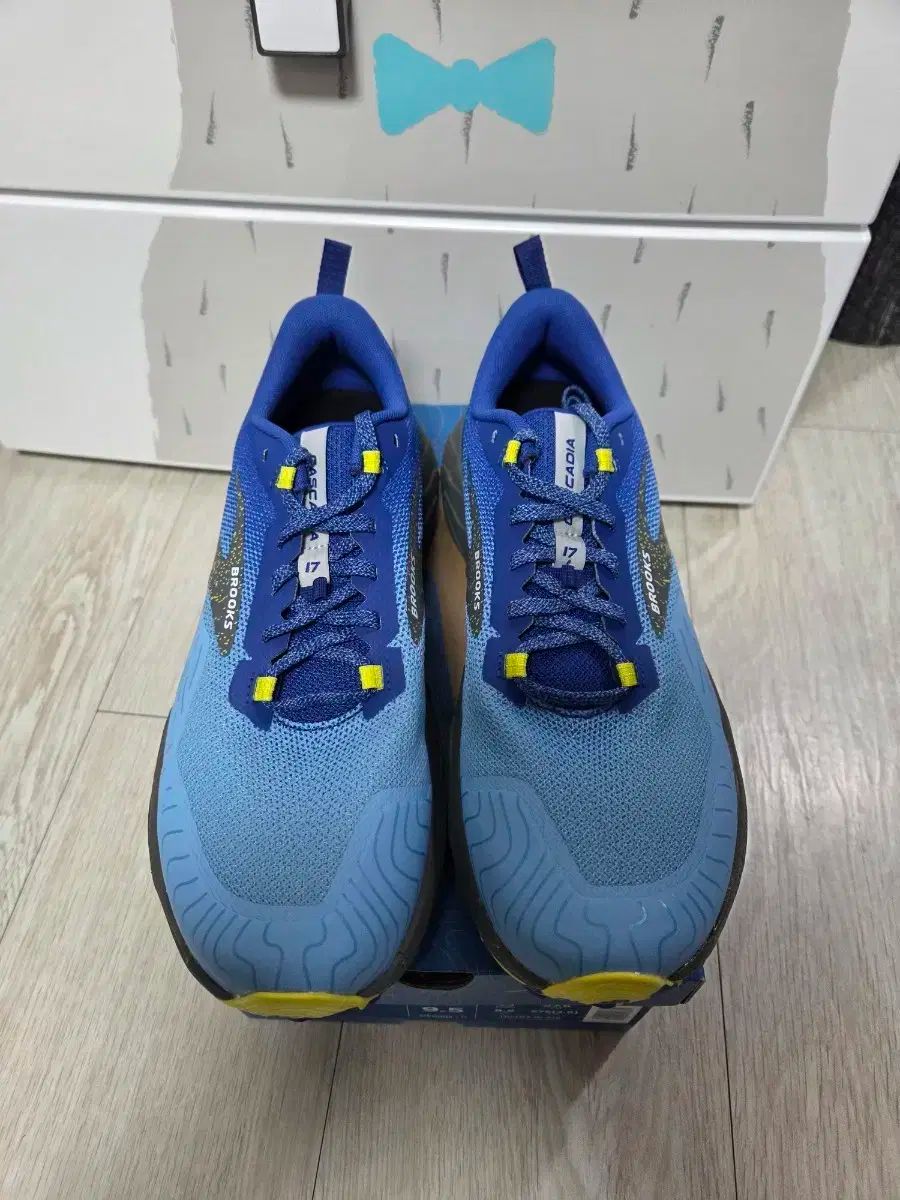 BROOKS ブルックス メンズ カスカディア 17 275mm