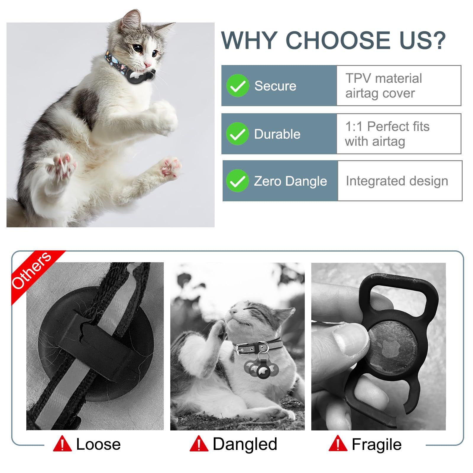 子猫