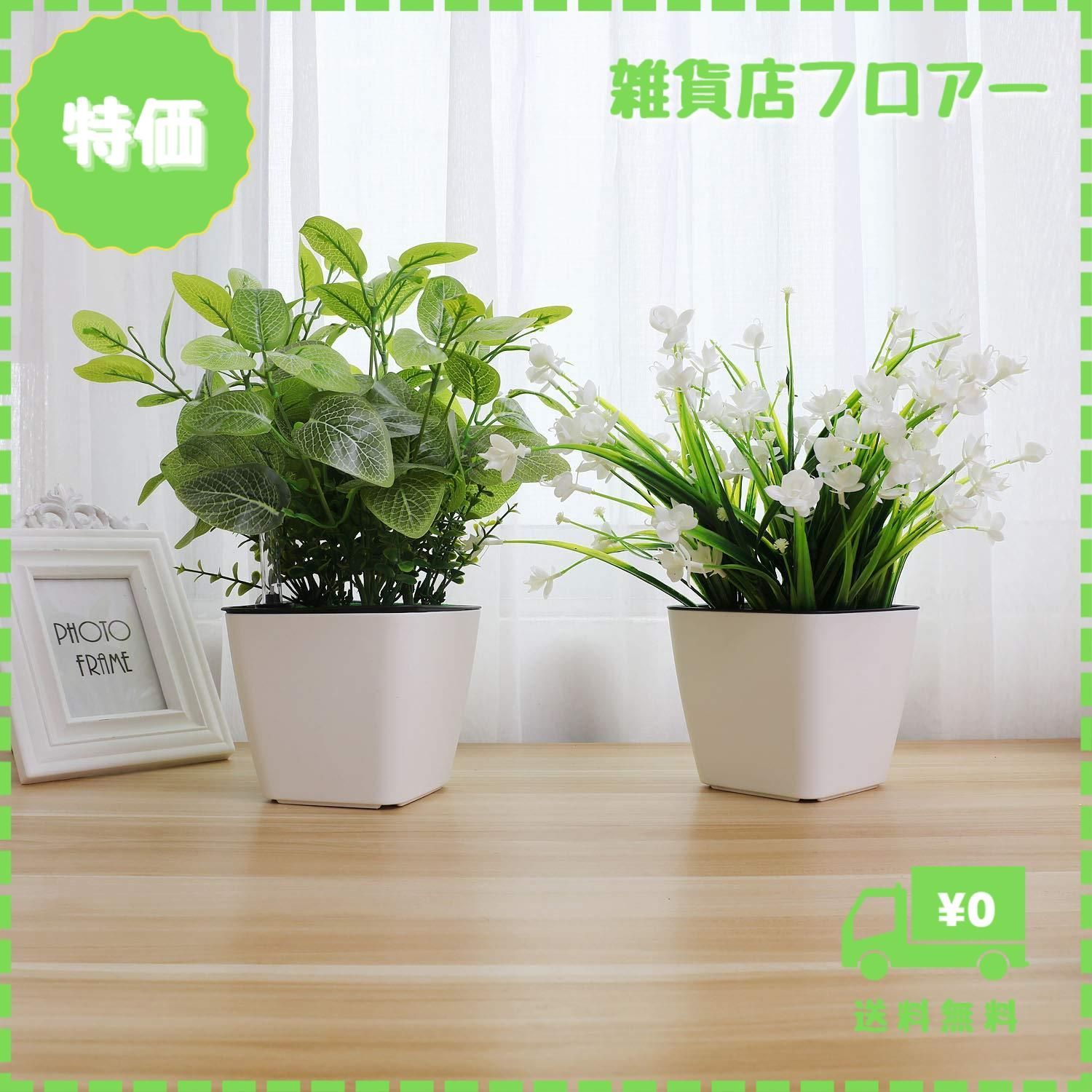 迅速発送】T4U 13.5cm 植木鉢 自己給水プランター 水位計付き 現代風 フラワーポット 観葉植物 多肉植物 花 ハーブ サボテン適用 白 3点セット  - メルカリ