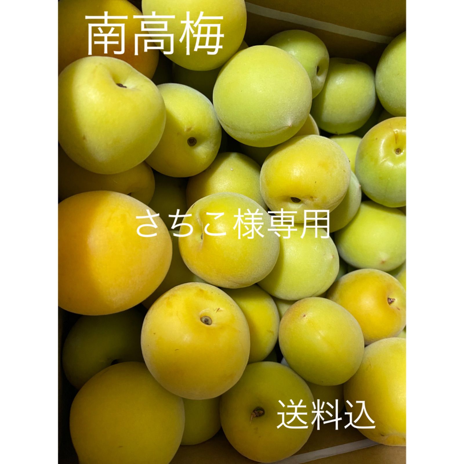 うめ様♡専用出品ページ うめ様専用 ♡ ウメちゃん様 専用出品 ♡ 公式通販 【公式通販】
