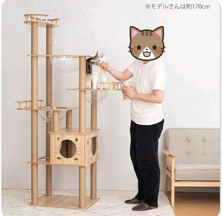 爪とぎ