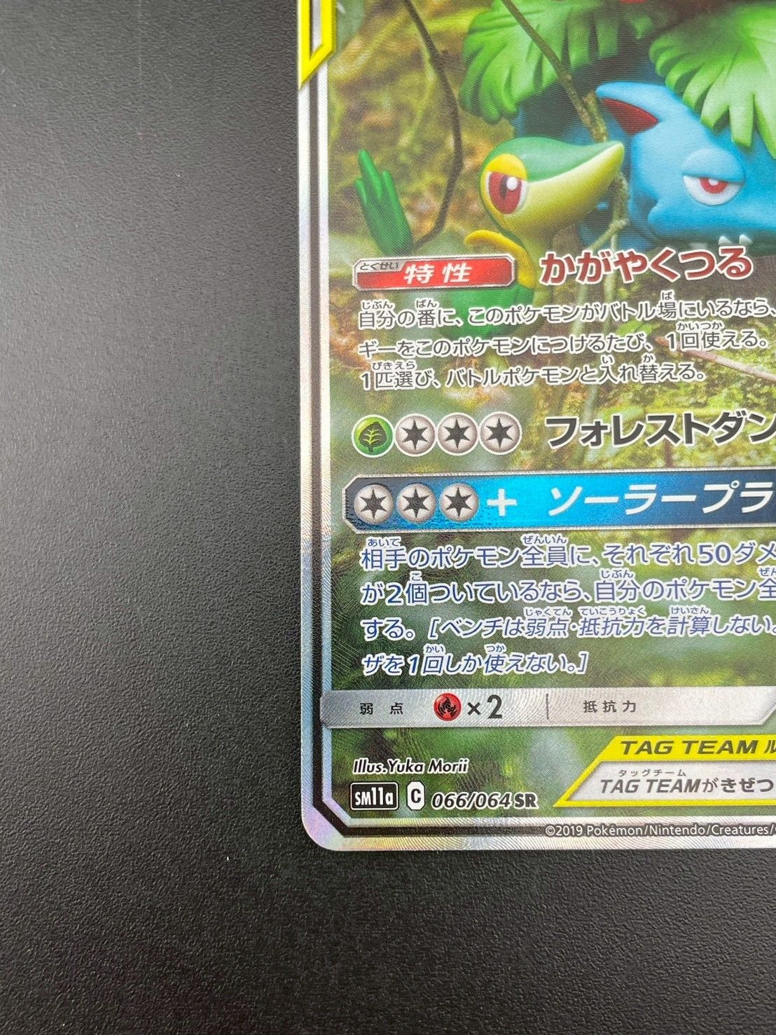 中古品】 フシギバナ&ツタージャGX SM11a C 066/064 SR サン