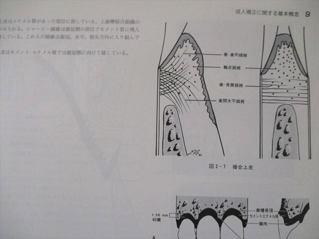 US82-162 西村書店 成人矯正歯科アトラス 40L6D