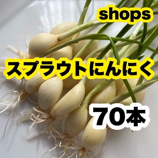 新品、本物、当店在庫だから安心】 8 発芽にんにくスプラウト 小粒70本 ad-naturam.fr