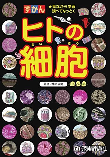 ヒトの細胞 (ずかん)／牛木 辰男