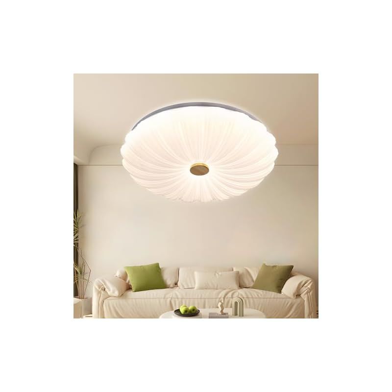 Depuley シーリングライト おしゃれ LED 8畳-10畳 調光 調色 3段階調色 48Wリモコン 省電力 長寿命 おしゃれ リラックス 便利 節電 快適 ナチュラルリラックス