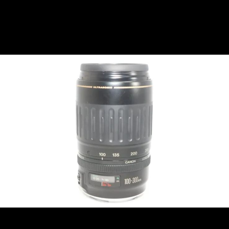  超望遠レンズ Canon EF 100 300 mm 運動会 スポーツ観戦 野鳥 レンズ(ズーム) カメラ