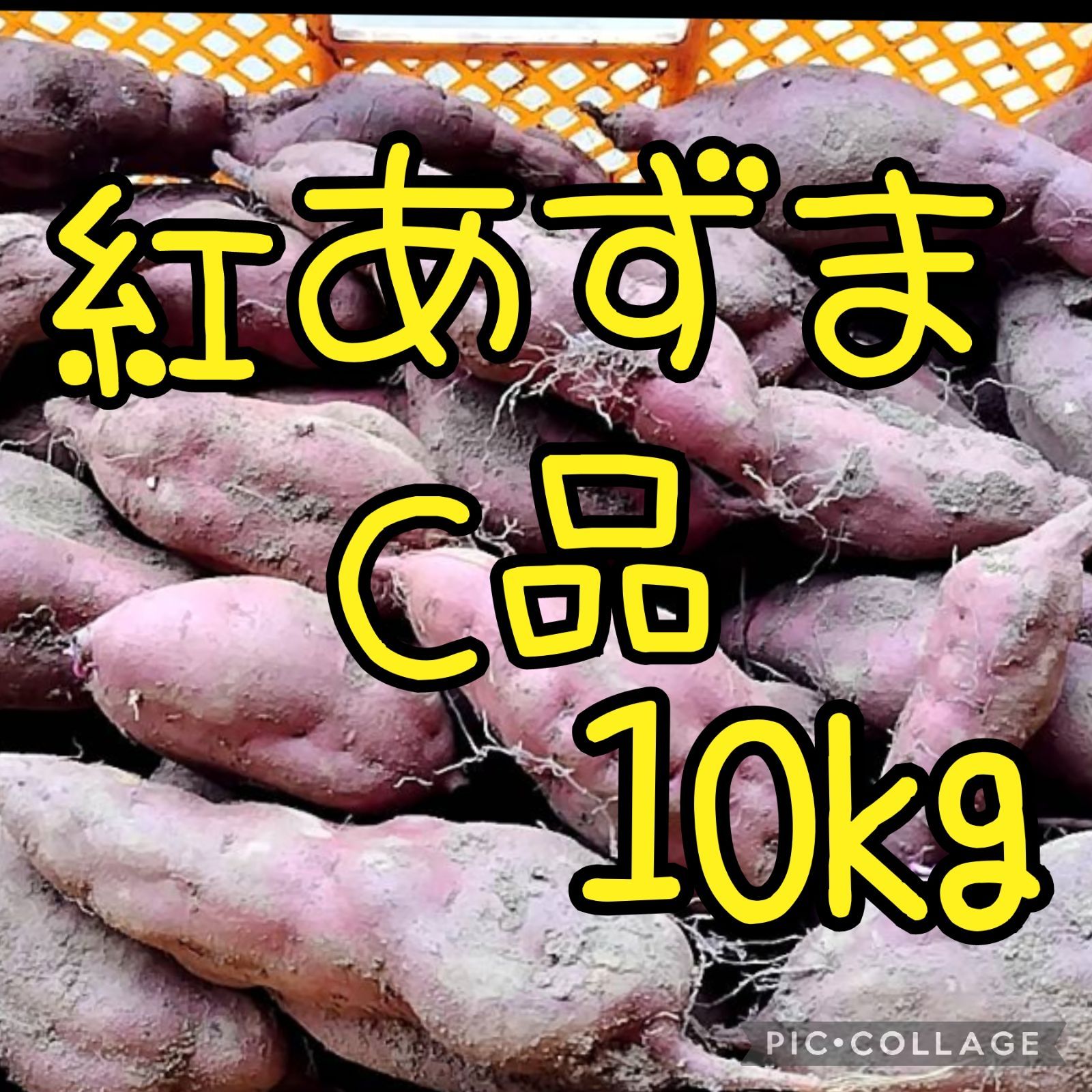 紅あずまC 10kg - 野菜