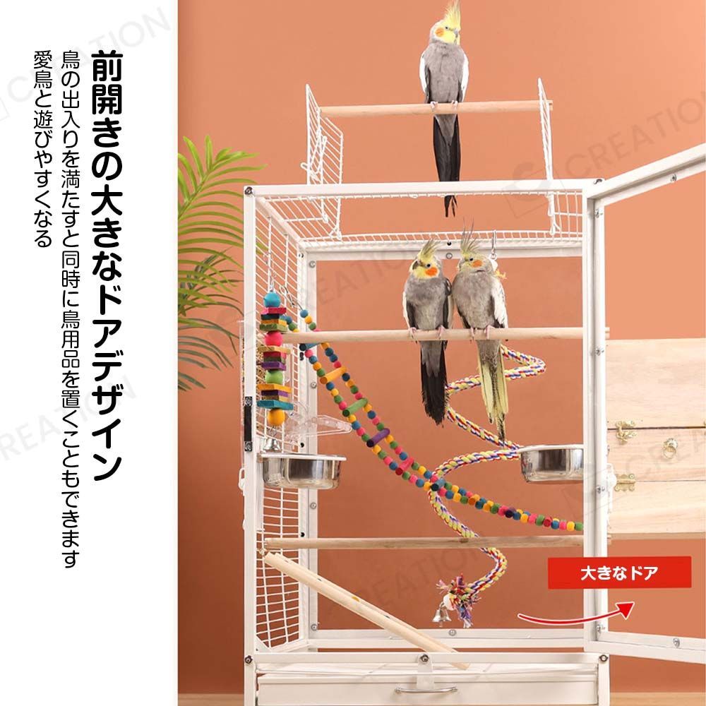 複数飼い大型インコ