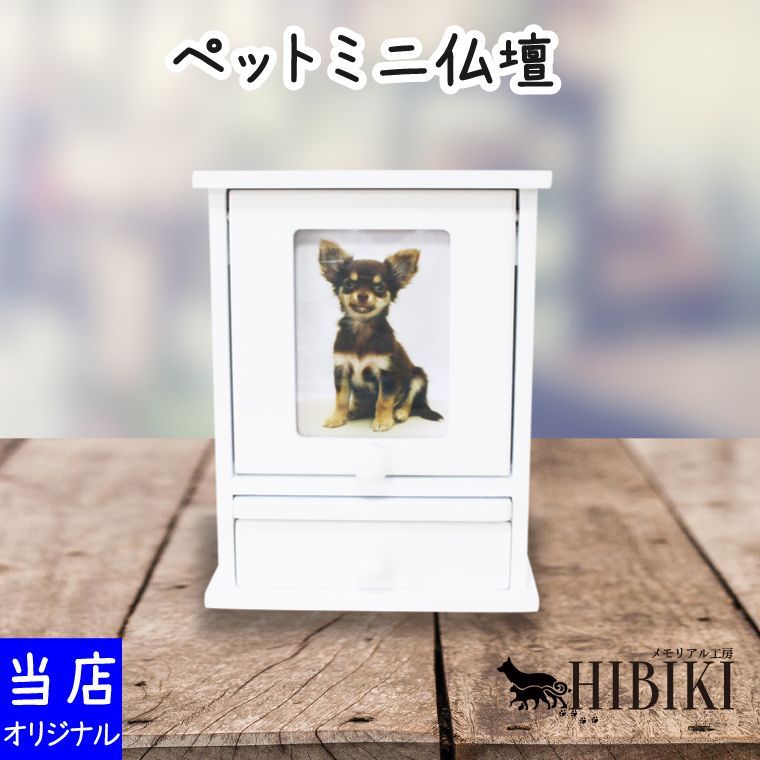 頚損C6・C7用マジックハンド『GRASPY mini(グラスピーミニ)』 【楽天