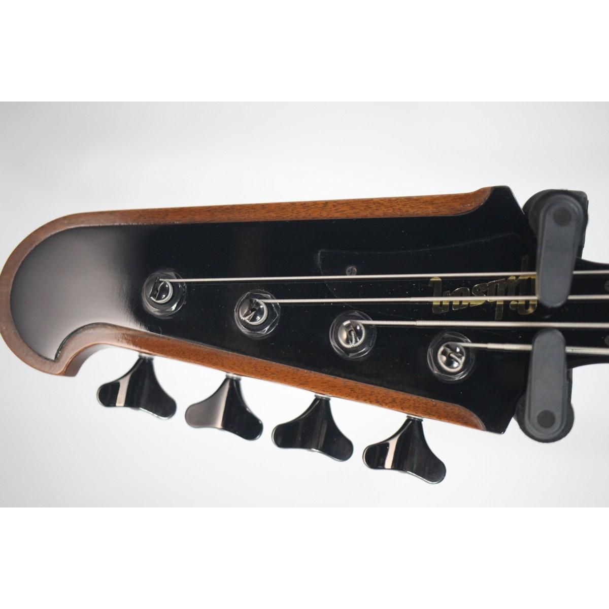 ＧＩＢＳＯＮ ＴＨＵＮＤＥＲＢＩＲＤ