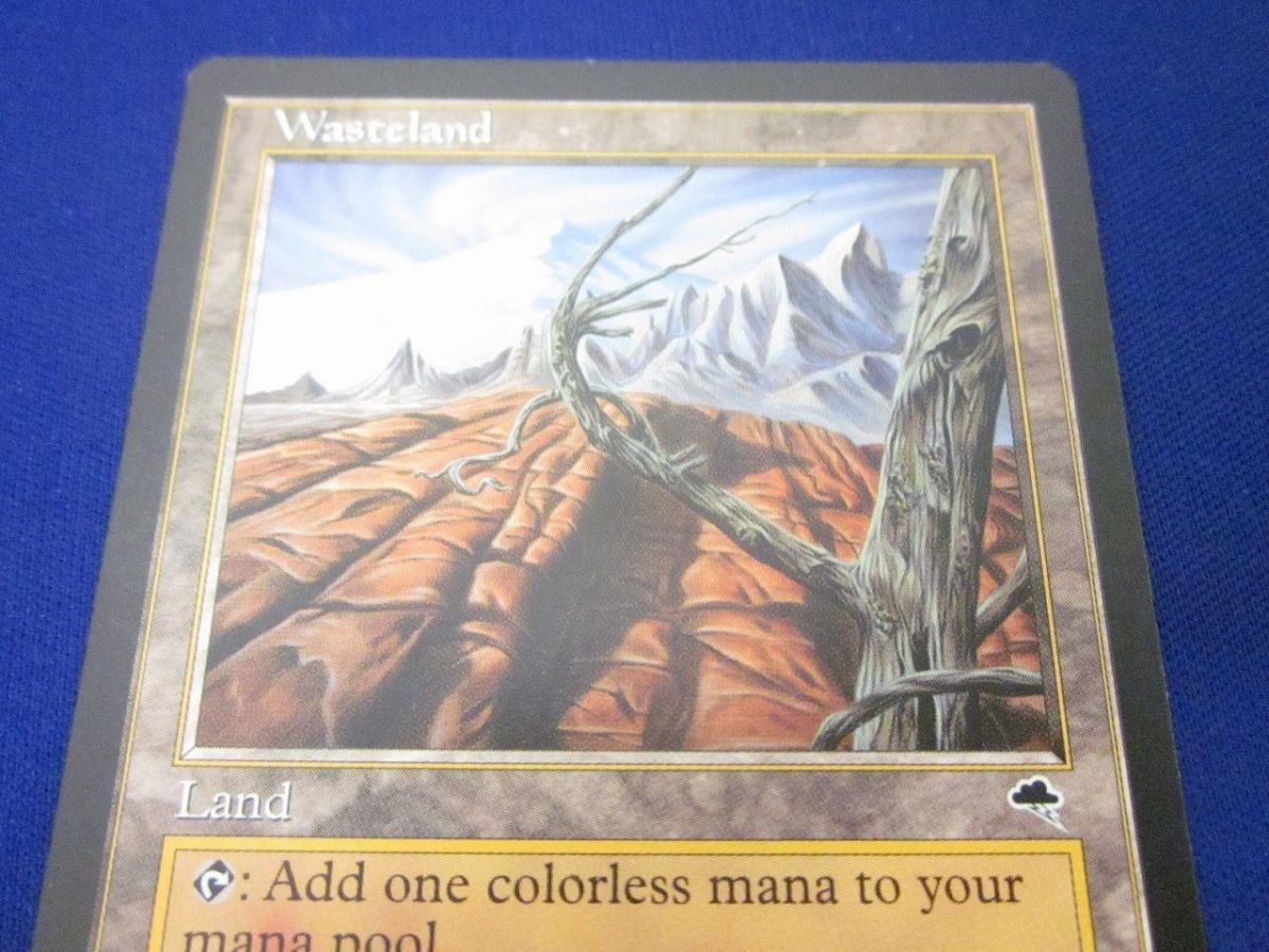 MTG Wasteland 不毛の大地　英語　3枚 マジックザギャザリング 不毛の大地3枚セット 日本語版 Amazon
