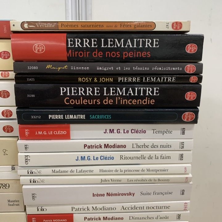 ■01)【同梱不可】フランス語の本・ペーパーブックなど まとめ売り約40冊大量セット/洋書/文学/フィクション/回顧録/弁証法/家族生活/B □01)【同梱不可】フランス語の本・ペーパーブックなど まとめ